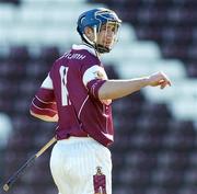 29 February 2004; Mark Kerins, Galway. Allianz National Hurling League, Division 1A, Galway v Kilkenny, Pearse Stadium, Galway. Picture credit; David Maher / SPORTSFILE *EDI*