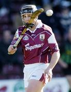 29 February 2004; Fergal Healy, Galway. Allianz National Hurling League, Division 1A, Galway v Kilkenny, Pearse Stadium, Galway. Picture credit; David Maher / SPORTSFILE *EDI*