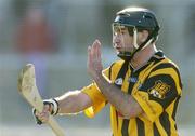 29 February 2004; D.J. Carey, Kilkenny. Allianz National Hurling League, Division 1A, Galway v Kilkenny, Pearse Stadium, Galway. Picture credit; David Maher / SPORTSFILE *EDI*