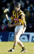 29 February 2004; Sean Dowling, Kilkenny. Allianz National Hurling League, Division 1A, Galway v Kilkenny, Pearse Stadium, Galway. Picture credit; David Maher / SPORTSFILE *EDI*