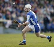 29 February 2004; Tommy Fitzgerald, Laois. Allianz National Hurling League, Division 1A, Waterford v Laois, Walsh Park, Waterford. Picture credit; Matt Browne / SPORTSFILE *EDI*