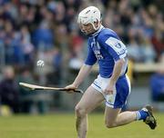 29 February 2004; Tommy Fitzgerald, Laois. Allianz National Hurling League, Division 1A, Waterford v Laois, Walsh Park, Waterford. Picture credit; Matt Browne / SPORTSFILE *EDI*