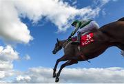 28 July 2021; Royal Rendezvous, with Paul Townend up, on their way to winning the Tote Galway Plate Steeplechase during day three of the Galway Races Summer Festival at Ballybrit Racecourse in Galway. Photo by David Fitzgerald/Sportsfile