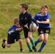 29 July 2021; Participants in action during the Bank of Ireland Leinster Rugby Summer Camp at Blackrock RFC in Dublin. Photo by Matt Browne/Sportsfile