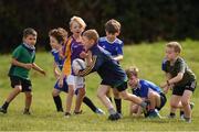 29 July 2021; Daragh McNulty, age 7, in action during the Bank of Ireland Leinster Rugby Summer Camp at Blackrock RFC in Dublin. Photo by Matt Browne/Sportsfile