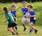 29 July 2021; Rian Healy, age 7, in action during the Bank of Ireland Leinster Rugby Summer Camp at Blackrock RFC in Dublin. Photo by Matt Browne/Sportsfile