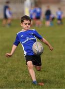 29 July 2021; Michael Barrett, age 8, in action during the Bank of Ireland Leinster Rugby Summer Camp at Blackrock RFC in Dublin. Photo by Matt Browne/Sportsfile