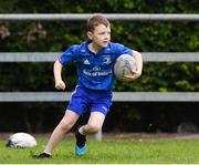 30 July 2021; Tom Greenan, age 6, in action during the Bank of Ireland Leinster Rugby Summer Camp at Navan RFC in Navan, Meath. Photo by Matt Browne/Sportsfile