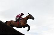 30 July 2021; Battleoverdoyen, with Jack Kennedy up, on their way to winning the Arthur Guinness Steeplechase during day five of the Galway Races Summer Festival at Ballybrit Racecourse in Galway. Photo by David Fitzgerald/Sportsfile