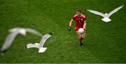 31 July 2021; Peter Harte of Tyrone during the Ulster GAA Football Senior Championship Final match between Monaghan and Tyrone at Croke Park in Dublin. Photo by Sam Barnes/Sportsfile