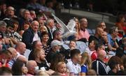 31 July 2021; A seagull flies through supporters during the Ulster GAA Football Senior Championship Final match between Monaghan and Tyrone at Croke Park in Dublin. Photo by Harry Murphy/Sportsfile