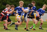 3 August 2021; Nicky Stafford, age 9, in action during the Bank of Ireland Leinster Rugby Summer Camp at Enniscorthy RFC in Enniscorthy, Wexford. Photo by Matt Browne/Sportsfile