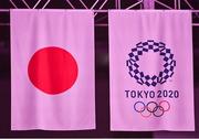 7 August 2021; A Japanese national flag and a Tokyo 2020 flag during the men's gold medal match between the USA and France at the Saitama Super Arena during the 2020 Tokyo Summer Olympic Games in Tokyo, Japan. Photo by Brendan Moran/Sportsfile