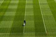 8 August 2021; Deputy head groundsman Colm Daly whitens the 14m line before the GAA Hurling All-Ireland Senior Championship semi-final match between Kilkenny and Cork at Croke Park in Dublin. Photo by Ray McManus/Sportsfile