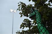 20 August 2021; A statue of a green giraffe near the pitch at the SSE Airtricity League First Division match between Cabinteely and Cork City at Stradbrook in Dublin. Photo by Piaras Ó Mídheach/Sportsfile