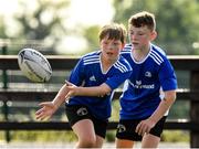 25 August 2021; Participants in action during the Bank of Ireland Leinster Rugby Summer Camp at Ashbourne RFC in Ashbourne, Meath. Photo by Matt Browne/Sportsfile