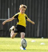 25 August 2021; Ross Murray, age 10, in action during the Bank of Ireland Leinster Rugby Summer Camp at Ashbourne RFC in Ashbourne, Meath. Photo by Matt Browne/Sportsfile