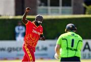 27 August 2021; Luke Jongwe of Zimbabwe celebrates taking the wicket of Ireland's Paul Stirling during match one of the Dafanews T20 series between Ireland and Zimbabwe at Clontarf Cricket Club in Dublin. Photo by Seb Daly/Sportsfile