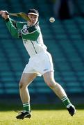 29 February 2004; John Cahill, Limerick goalkeeper. Allianz National Hurling League, Division 1B, Limerick v Tipperary, Gaelic Grounds, Limerick. Picture credit; Damien Eagers / SPORTSFILE *EDI*