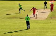 1 September 2021; Josh Little of Ireland celebrates bowling out Wellington Masakadza of Zimbabwe during match three of the Dafanews T20 series between Ireland and Zimbabwe at Bready Cricket Club in Magheramason, Tyrone. Photo by Harry Murphy/Sportsfile