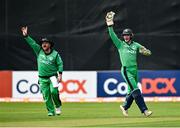 8 September 2021; Ireland wicketkeeper Lorcan Tucker, right, celebrates alongside team-mate Paul Stirling after claiming the wicket of Zimbabwe's Dion Myers during match one of the Dafanews International Cup ODI series between Ireland and Zimbabwe at Stormont in Belfast. Photo by Seb Daly/Sportsfile