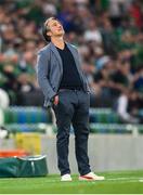 8 September 2021; Switzerland manager Murat Yakin reacts during the FIFA World Cup 2022 qualifying group C match between Northern Ireland and Switzerland at National Football Stadium at Windsor Park in Belfast. Photo by Stephen McCarthy/Sportsfile