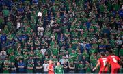 8 September 2021; Northern Ireland supporters during the FIFA World Cup 2022 qualifying group C match between Northern Ireland and Switzerland at National Football Stadium at Windsor Park in Belfast. Photo by Stephen McCarthy/Sportsfile