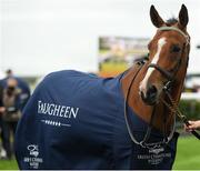 12 September 2021; Faugheen during the Parade of Champions before racing on day two of the Longines Irish Champions Weekend at The Curragh Racecourse in Kildare. Photo by Seb Daly/Sportsfile