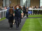 12 September 2021; Hardy Eustace during the Parade of Champions before racing on day two of the Longines Irish Champions Weekend at The Curragh Racecourse in Kildare. Photo by Seb Daly/Sportsfile