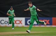 13 September 2021; Josh Little of Ireland celebrates claiming the wicket of Zimbabwe's Brendan Taylor during match three of the Dafanews International Cup ODI series between Ireland and Zimbabwe at Stormont in Belfast. Photo by Seb Daly/Sportsfile