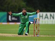 13 September 2021; Simi Singh of Ireland makes an appeal during match three of the Dafanews International Cup ODI series between Ireland and Zimbabwe at Stormont in Belfast. Photo by Seb Daly/Sportsfile