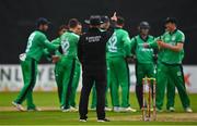 13 September 2021; Umpire Alan Neill signals the wicket of Zimbabwe's Craig Ervine following a review during match three of the Dafanews International Cup ODI series between Ireland and Zimbabwe at Stormont in Belfast. Photo by Seb Daly/Sportsfile
