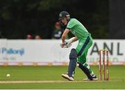13 September 2021; Harry Tector of Ireland during match three of the Dafanews International Cup ODI series between Ireland and Zimbabwe at Stormont in Belfast. Photo by Seb Daly/Sportsfile