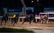 18 September 2021; Two Amigos, second from right, crosses the line to win the Boylesports Fon-A-Bet 350 at Shelbourne Park in Dublin. Photo by Harry Murphy/Sportsfile