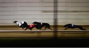 18 September 2021; Kameko, 3, leads the pack on the way to winning The Michael Fortune Memorial Derby Plate Final at Shelbourne Park in Dublin. Photo by Harry Murphy/Sportsfile