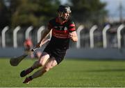 19 September 2021; David Phelan of Mount Leinster Rangers during the Carlow Senior County Hurling Championship Final match between Mount Leinster Rangers and St Mullins at Netwatch Cullen Park in Carlow. Photo by Ben McShane/Sportsfile