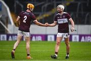 26 September 2021; Seamus Bourke, left, and Brendan Maher of Borris-Ileigh after their side's victory in the Tipperary Senior Hurling Championship Group 4 match between Borris-Ileigh and Nenagh Éire Óg at Semple Stadium in Thurles, Tipperary. Photo by Sam Barnes/Sportsfile