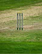 6 September 2021; A general view of stumps during the one day match between Ireland Wolves and Zimbabwe XI at Belmont Park in Belfast. Photo by Piaras Ó Mídheach/Sportsfile