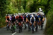 3 October 2021; A general view of the peloton during the senior men's road race at the 2021 Cycling Ireland Road National Championships in Wicklow. Photo by David Fitzgerald/Sportsfile