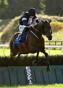 10 October 2021; Off Your Rocco, with Jack Kennedy up, jumps the last on their way to winning the Bluegrass Horse Feed Novice Hurdle at Limerick Racecourse in Patrickswell, Limerick. Photo by Seb Daly/Sportsfile