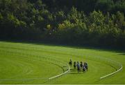 10 October 2021; A view of the field during the Irish Stallion Farms EBF Cailin Alainn Mares Hurdle at Limerick Racecourse in Patrickswell, Limerick. Photo by Seb Daly/Sportsfile