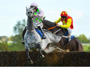 10 October 2021; Karl Der Grosse, with Brian Hayes up, jumps the seventh during the Anglo Printers Rated Steeplechase at Limerick Racecourse in Patrickswell, Limerick. Photo by Seb Daly/Sportsfile