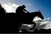 10 October 2021; Ontheropes, with Sean O'Keeffe up, jumps the last on their way to winning the JT McNamara Ladbrokes Munster National Handicap Steeplechase at Limerick Racecourse in Patrickswell, Limerick. Photo by Seb Daly/Sportsfile