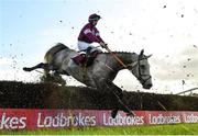 10 October 2021; Cavalry Master, with Mike O'Connor up, jumps the last during the JT McNamara Ladbrokes Munster National Handicap Steeplechase at Limerick Racecourse in Patrickswell, Limerick. Photo by Seb Daly/Sportsfile