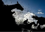 10 October 2021; Sapphire Lady, with Danny Mullins up, jumps the last during the second circuit of the JT McNamara Ladbrokes Munster National Handicap Steeplechase at Limerick Racecourse in Patrickswell, Limerick. Photo by Seb Daly/Sportsfile