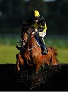 10 October 2021; Chesterville, with Jack Kennedy up, jumps the last during the first circuit of the Follow Limerick Racecourse On Instagram Handicap Steeplechase at Limerick Racecourse in Patrickswell, Limerick. Photo by Seb Daly/Sportsfile