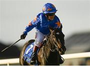 10 October 2021; Kian Tubs McNally, aged 11, celebrates on Where It Began after winning the Curragh Irish Pony Racing Association Derby Division 2 at The Curragh Racecourse in Kildare. Photo by Harry Murphy/Sportsfile