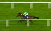 10 October 2021; Agritime, with Michael O'Sullivan up, on their way to winning the Follow Limerick Racecourse On Facebook Flat Race at Limerick Racecourse in Patrickswell, Limerick. Photo by Seb Daly/Sportsfile