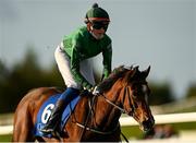 10 October 2021; Sheanmore Mata, with Calum Hogan, aged 15, up, during the Curragh Irish Pony Racing Association Derby at The Curragh Racecourse in Kildare. Photo by Harry Murphy/Sportsfile