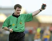 21 March 2004; Declan Roche, referee, Tipperary. Allianz Hurling League 2004, Division 1A, Round 4, Clare v Kilkenny, Cusack Park, Ennis, Co. Clare. Picture credit; Ray McManus / SPORTSFILE *EDI*